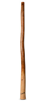 Wix Stix Didgeridoo (WS151)